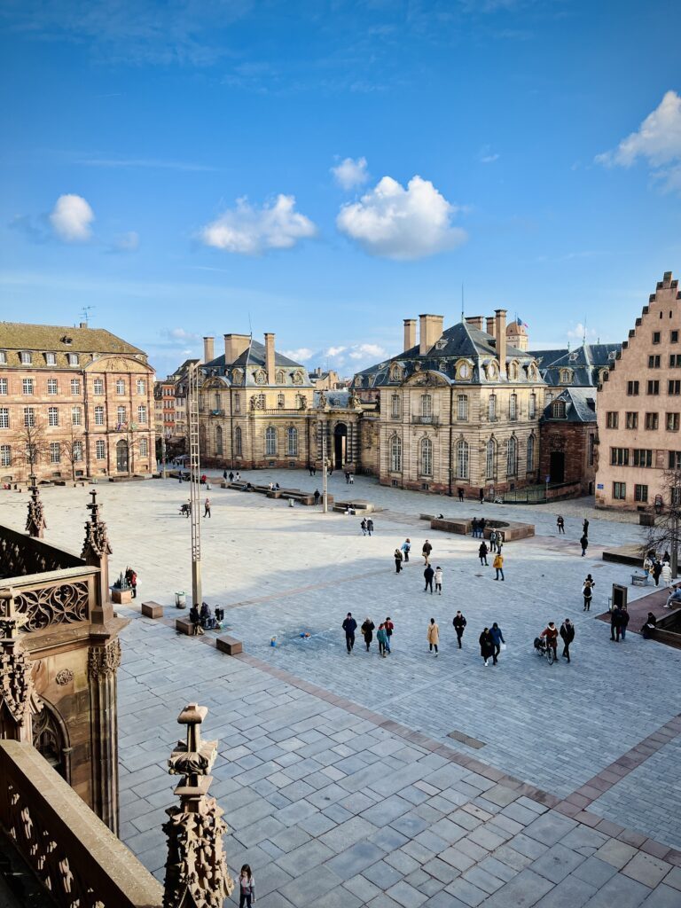 Blick auf Straßburg von der Kathedrale