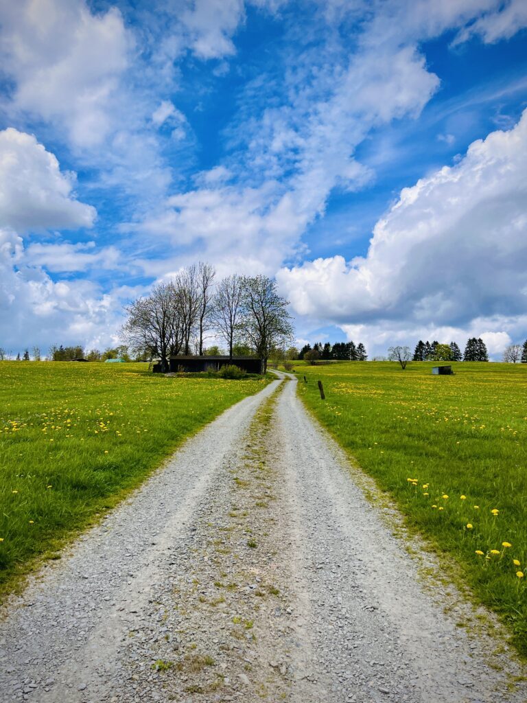 Wanderweg, der über eine Wiese führt.