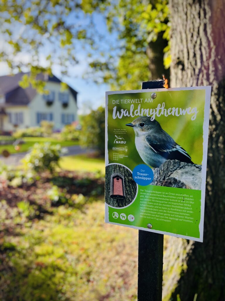 Informationstafel Waldmythenweg Bergisches Land