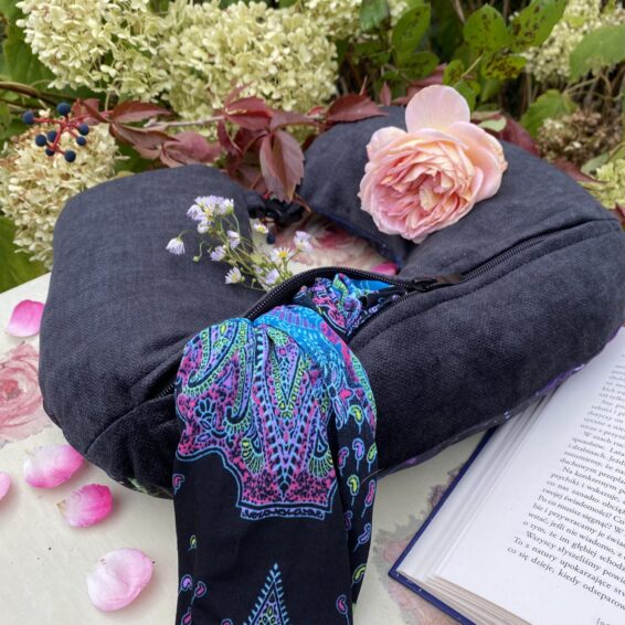 Secret Luggage Pillow