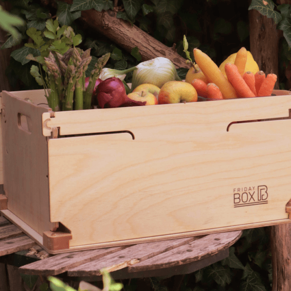 FridayBOX Klappkiste