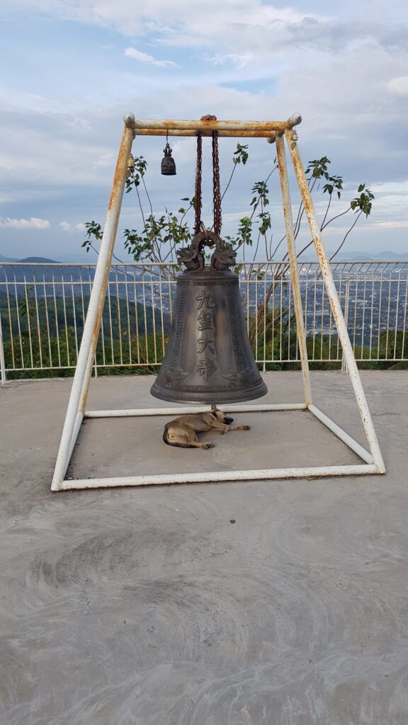 Hund unter Glocke Thailand