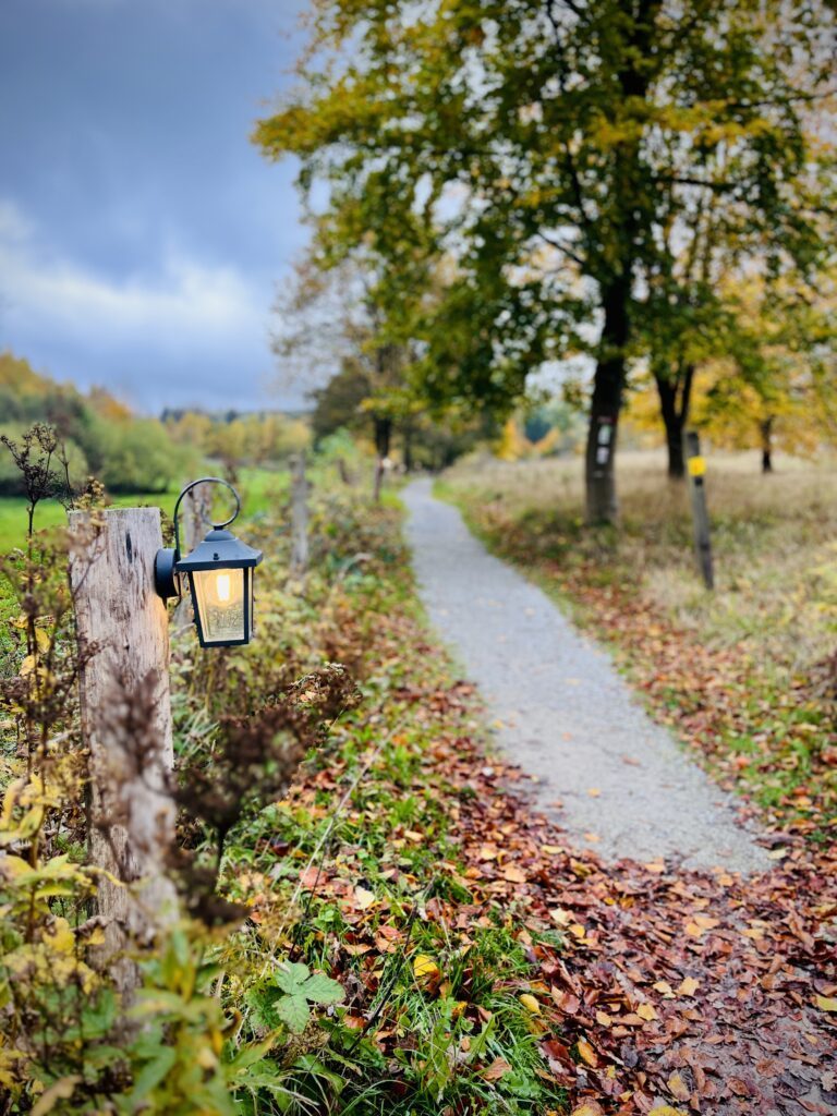 Weg zur Hiebammenhütte in Olsberg