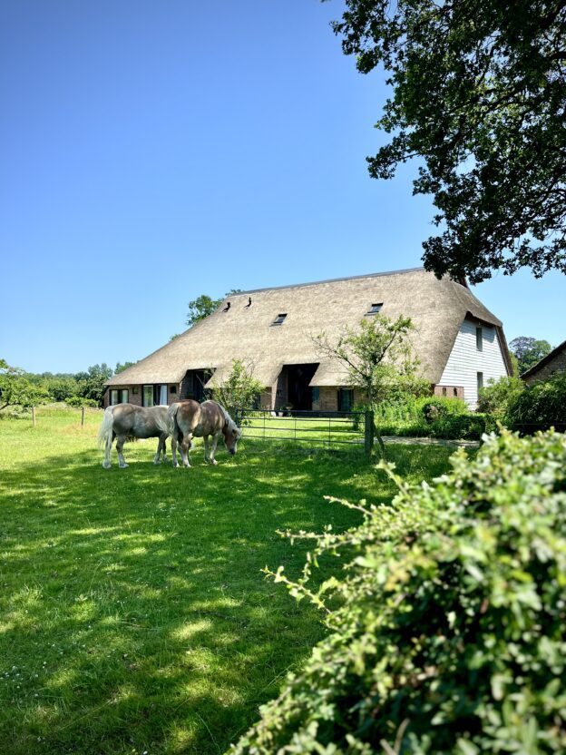 Bauernhaus in Holland Provinz Drenthe