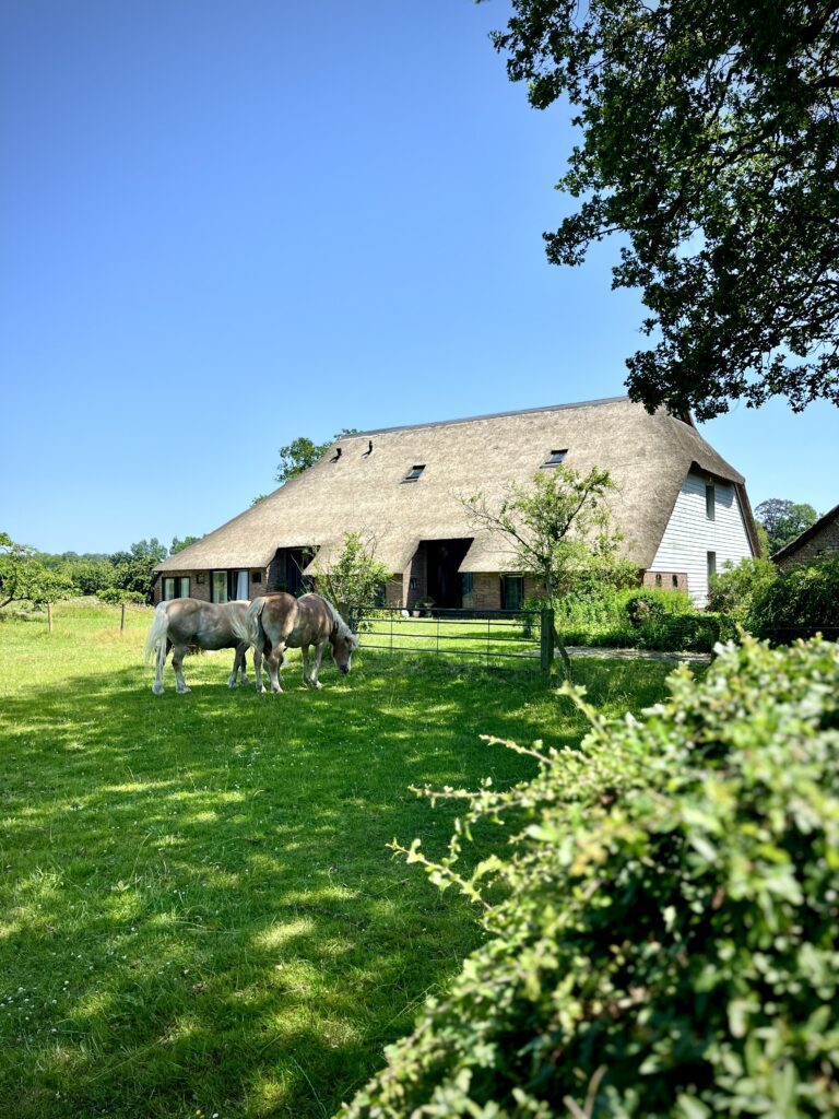 Bauernhaus in Drenthe