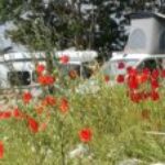 Profilbild von Katisonne