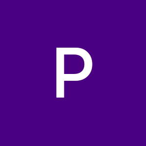 Profilbild von Piratin