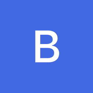 Profilbild von Baerlinerin