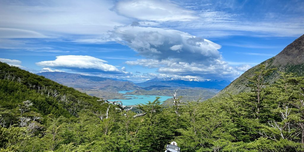 Aussicht-Lagune-Torres-del-Paine Landschaft Lagune Torres del Paine