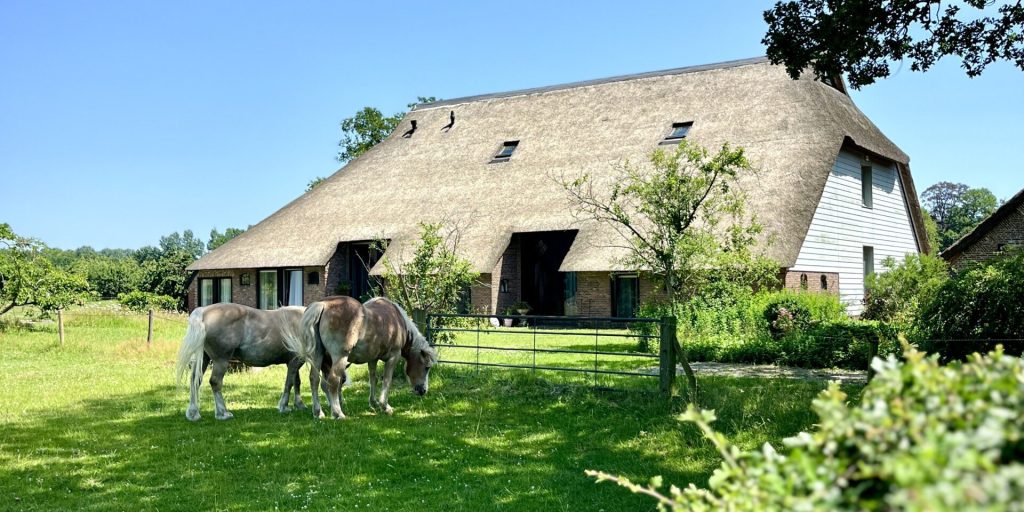 Bauernhaus in Holland Provinz Drenthe