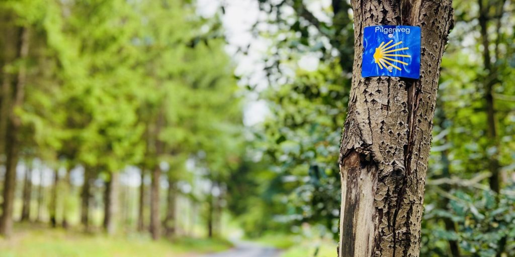 Wegweiser Pilgerweg Elisabethpfad