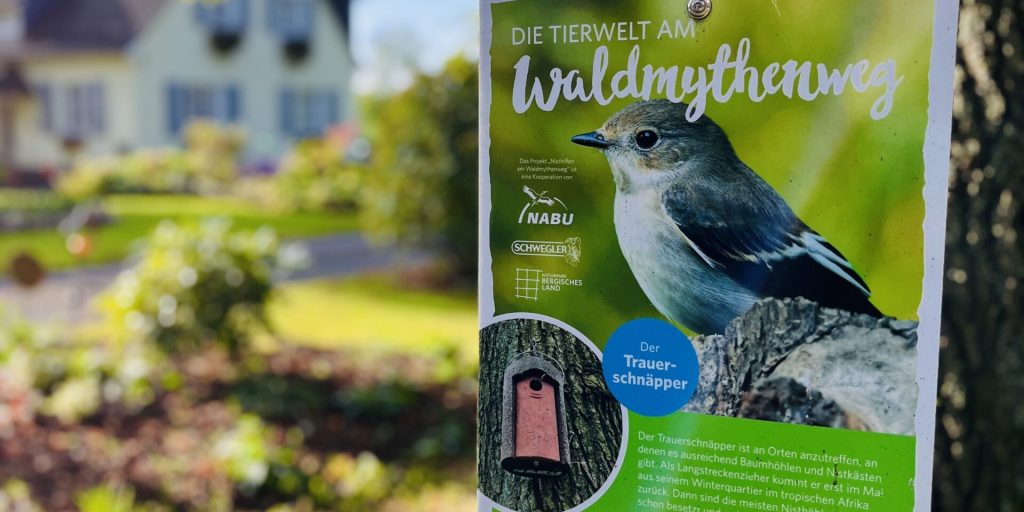 Informationstafel Waldmythenweg Bergisches Land